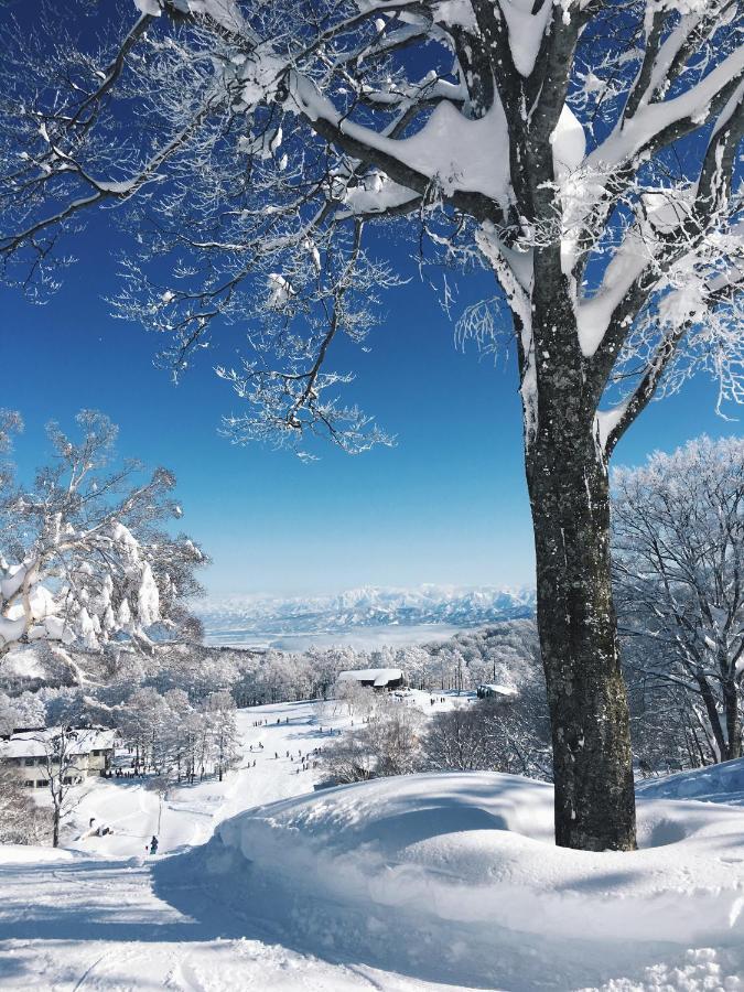 Nozawa Peaks Villa Екстериор снимка